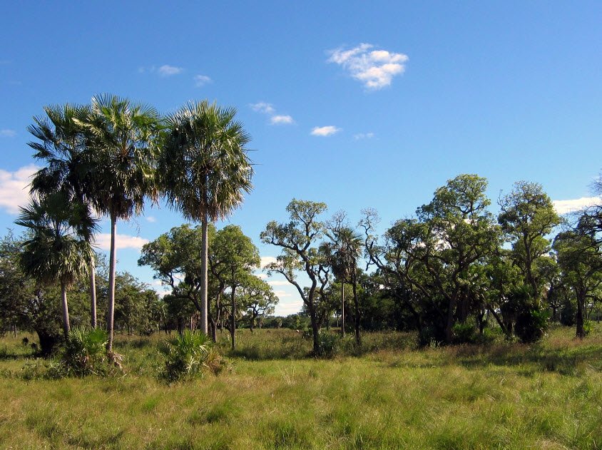 Tinfunque, Presidente Hayes Department, Paraguay